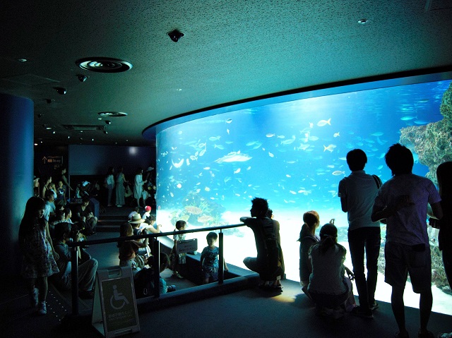 Visiting Unique Venues in Tokyo! Sunshine Aquarium | BIGBEAT